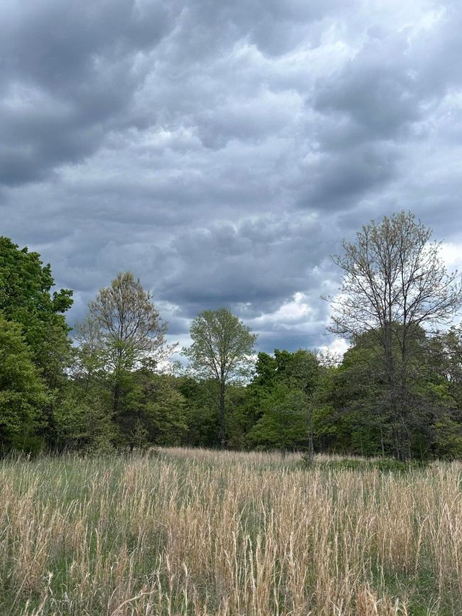 South Field | Image 26