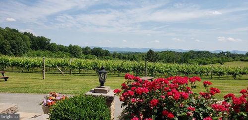 4204 Old Fincastle Rd, FINCASTLE, VA, 24090-3559 | Card Image
