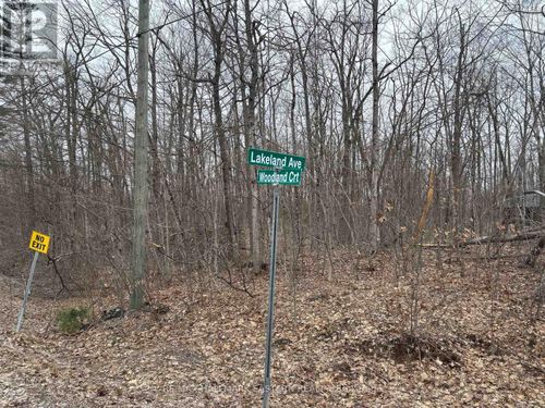 96 Woodland Court, Trent Lakes, ON, K0L1J0 | Card Image