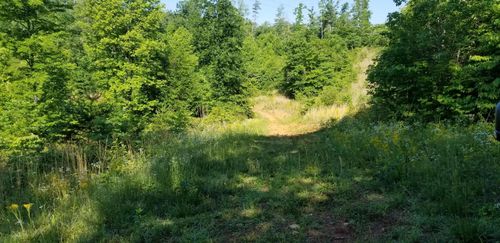 0 Indian Summer Ln, Ferrum, VA, 24088 | Card Image