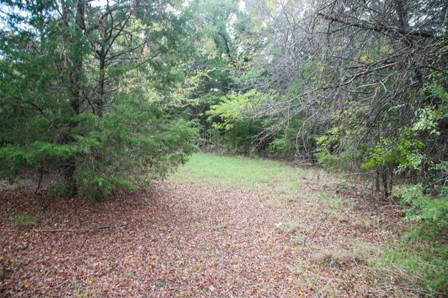 Lot 66, 67, 68, 69, 70, 7 Tonkawa Trail, Home with 0 bedrooms, 0 bathrooms and null parking in Corsicana TX | Image 5