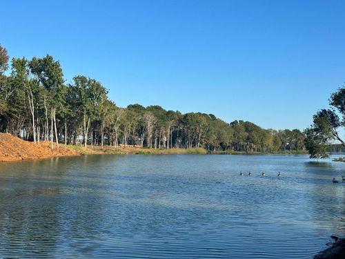 Lot 104 Oak River, Frankston, TX, 75763 | Card Image