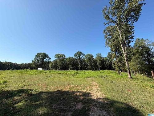 0-0 Country Ln, Montevallo, AL, 35115 | Card Image