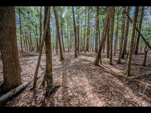 Lot 21 Bonita Pt, Eagle River, WI, 54521 | Card Image