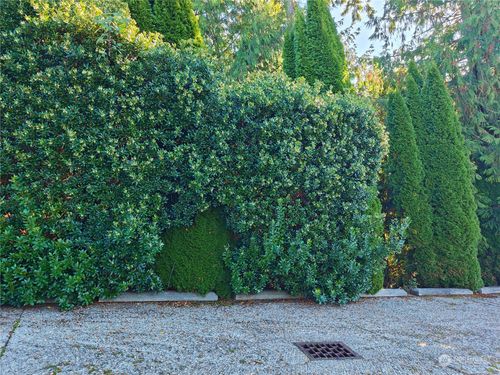 1518 207th Ave Ne, Sammamish, WA, 98074-6679 | Card Image