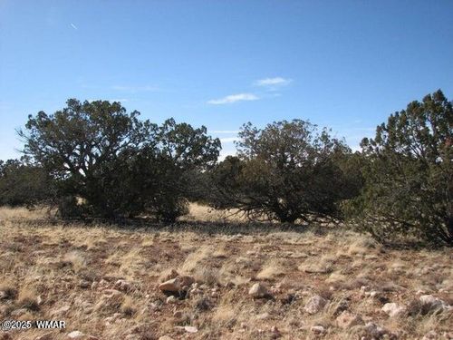 lot-216-6251 Dry Pasture Run, Heber, AZ, 85928-5644 | Card Image