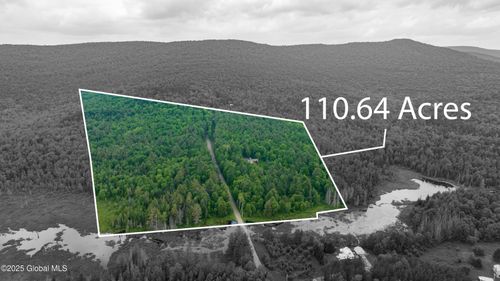 11 Darling Rd, Stony Creek, NY, 12878-1740 | Card Image