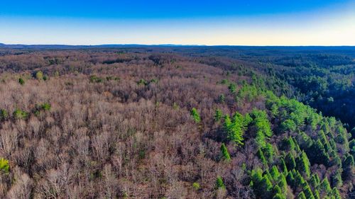 Tract 6 Ervin Brown Rd, Sunbright, TN, 37872 | Card Image