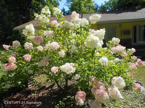 224 N Chambers Rd, Tawas City, MI, 48763-9745 | Card Image