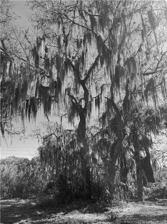 Oaks on the Waterway | Image 20