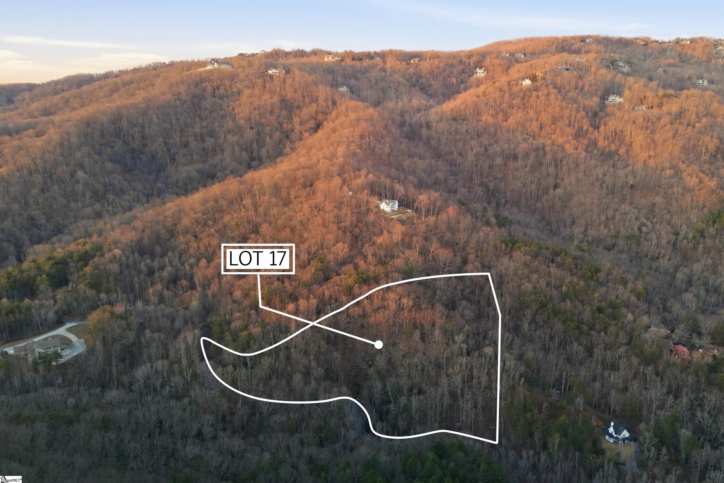 Land in Landrum 4