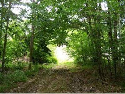 LOT-67A - 67A Province Road, Home with 0 bedrooms, 0 bathrooms and null parking in Strafford NH | Image 3