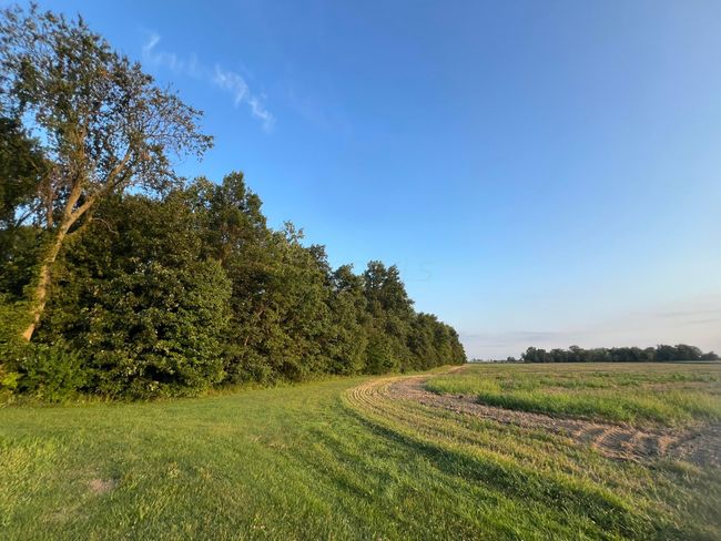 0 Norton Road, Home with 0 bedrooms, 0 bathrooms and null parking in Radnor OH | Image 32