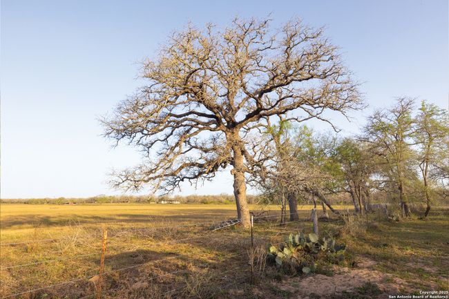 343 Batey Rd, Home with 3 bedrooms, 2 bathrooms and null parking in Nixon TX | Image 5