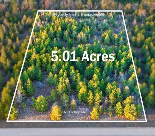 0000 Ne Loblolly Trl, Lee, FL, 32059 | Card Image