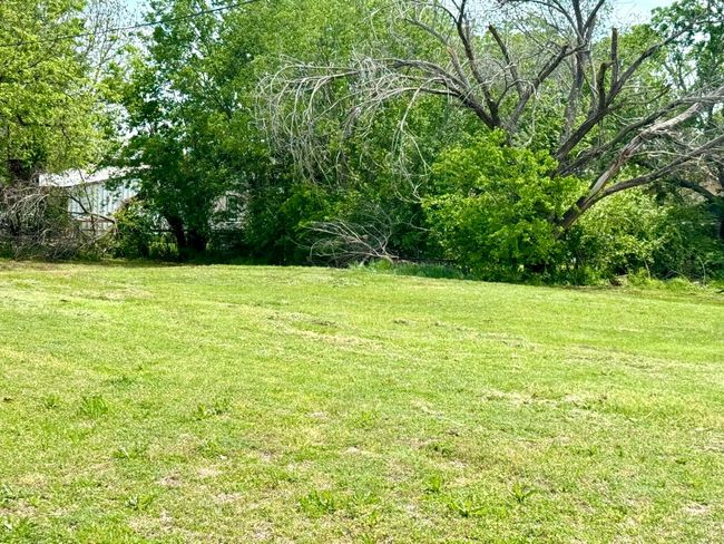 green grass | Image 8