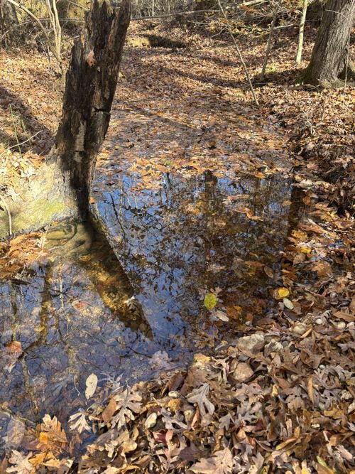 1212 Second Creek Rd, Lutts, TN, 38471-5331 | Card Image