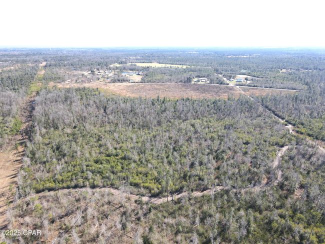 0 John F Bailey Rd, Home with 0 bedrooms, 0 bathrooms and null parking in Blountstown FL | Image 5