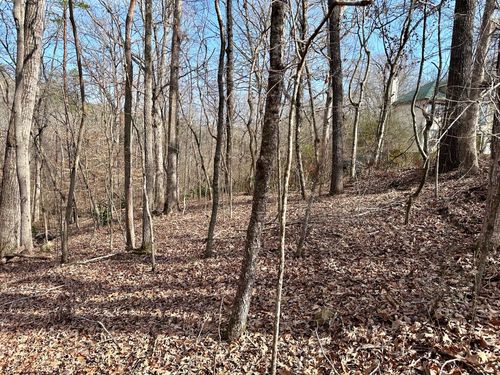 0 Lodestone Dr, Ooltewah, TN, 37363 | Card Image
