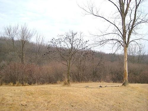 Lot 16 Ohmer Ln, Mc Gregor, IA, 52157 | Card Image