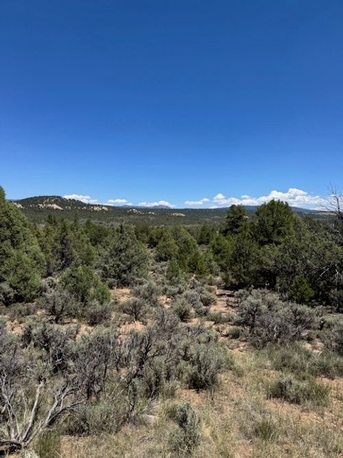 1 Unit 5, Tierra Amarilla, NM, 87575 | Card Image