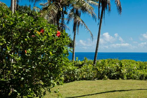 14-3663 Government Beach Rd, PAHOA, HI, 96778 | Card Image