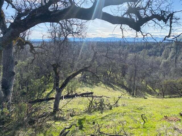 Land in Anderson 4
