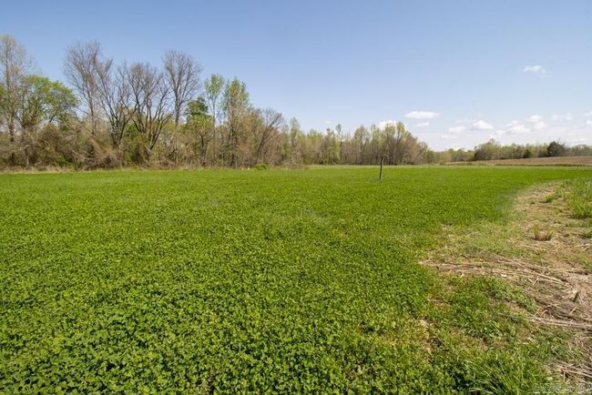 9 County Road 422, Home with 0 bedrooms, 0 bathrooms and null parking in Rector AR | Image 31