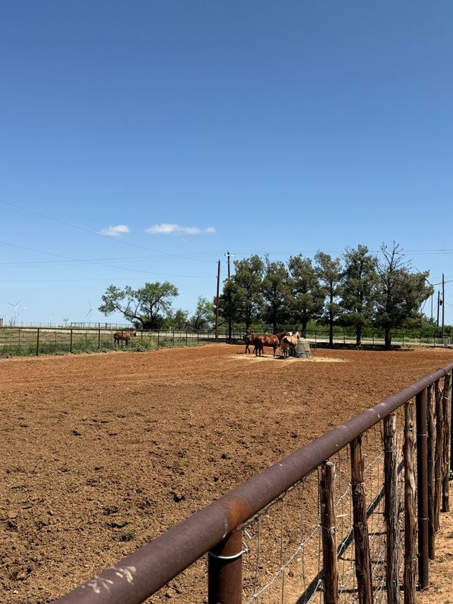 447 W Fm 1606, House other with 3 bedrooms, 2 bathrooms and 2 parking in Ira TX | Image 59