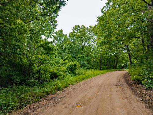 000 County Road 521, Gainesville, MO, 65655 | Card Image
