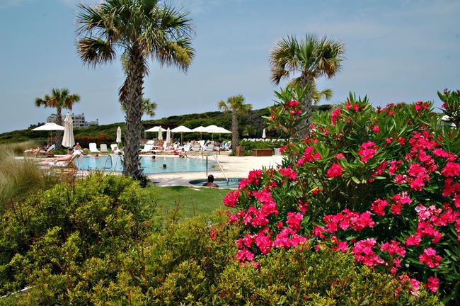 kiawah pool | Image 40