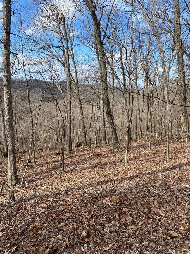 0 Yates Ave, Home with 0 bedrooms, 0 bathrooms and null parking in House Springs MO | Image 8