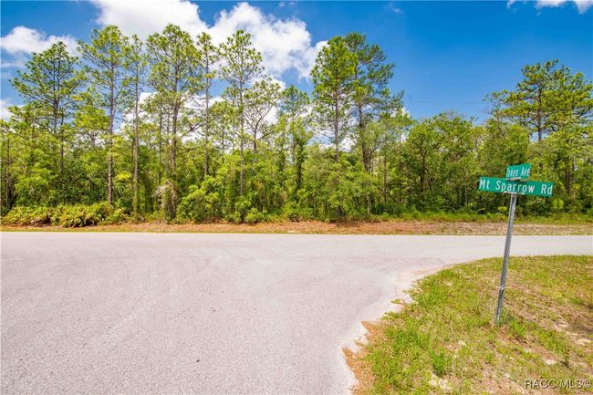 16240 Mount Sparrow Rd, Home with 0 bedrooms, 0 bathrooms and null parking in Weeki Wachee FL | Image 5