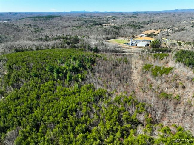 30.19 Acres (Off Of) Belvedere Dr, Home with 0 bedrooms, 0 bathrooms and null parking in Fieldale VA | Image 4