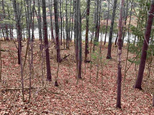 00C Lazy Ridge Trl, Lake Ann, MI, 49650 | Card Image