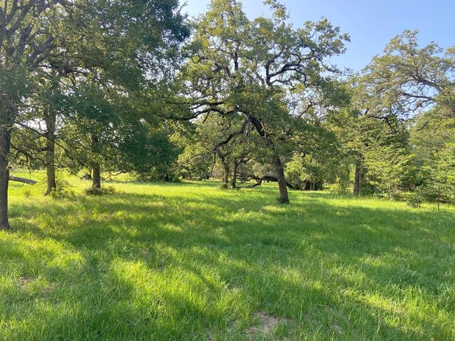 View of yard | Image 31