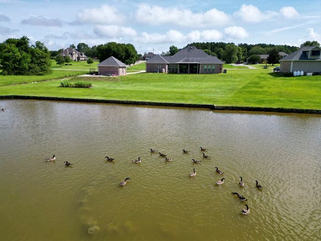 183 Shore Crest Cir, House other with 3 bedrooms, 3 bathrooms and 3 parking in Carriere MS | Image 18