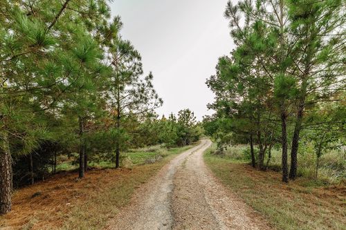 139 Village Forest Dr, Smithville, TX, 78957-5147 | Card Image