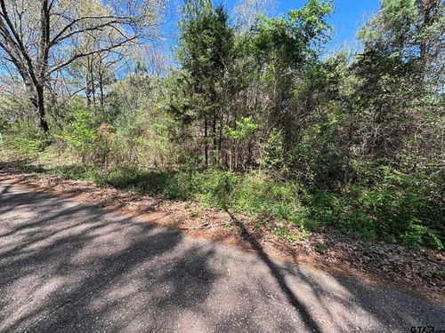 0 County Road 341, Tyler, TX, 75706 | Card Image