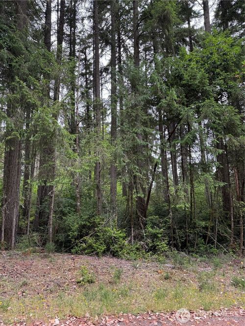 10419 Matthews Way, Anderson Island, WA, 98303-8814 | Card Image