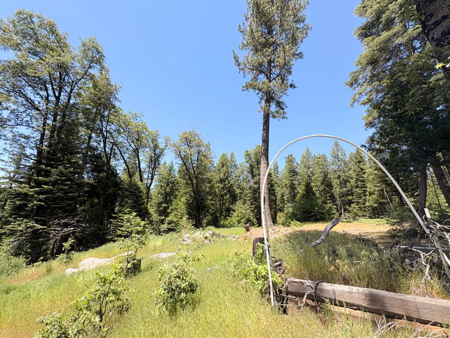 Land in Nevada City 2