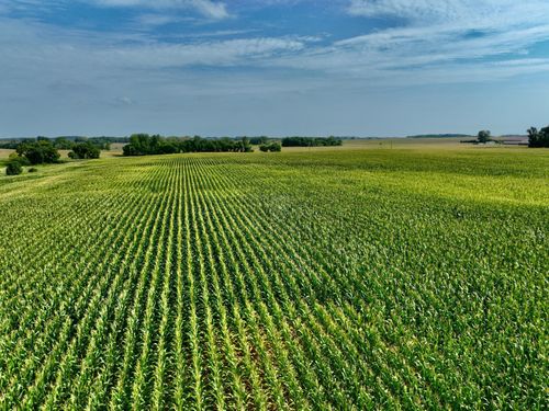 XXX 210th Ave, Currie, MN, 56123 | Card Image