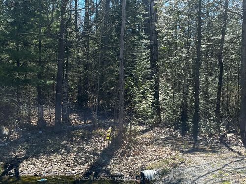 Lot 7 Champlain Rd, Tiny, ON, L9M | Card Image