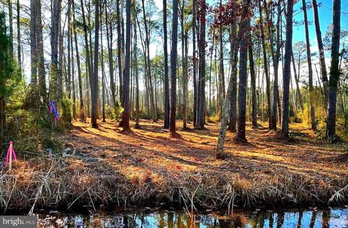 Lot 5 Nevitte Muir Rd, WESTOVER, MD, 21871-4207 | Card Image