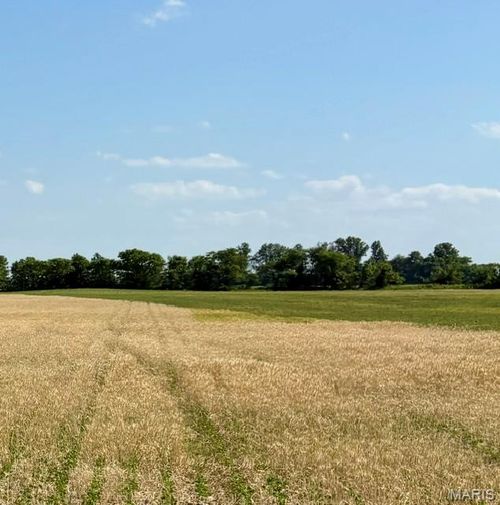 0 State Highway Bb, East Prairie, MO, 63845 | Card Image