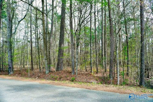 LOT 5 Indian Lake Dr, Rainbow City, AL, 35906-7406 | Card Image
