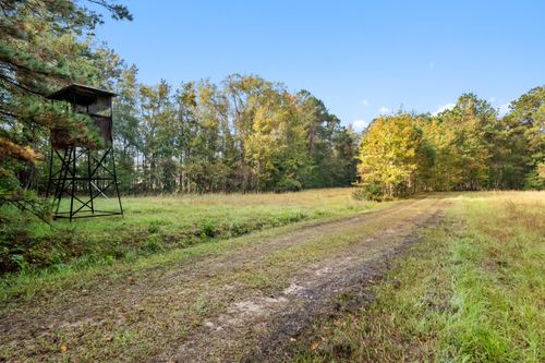 527 Acres Spring Grove Rd, Adams Run, SC, 29426-5013 | Card Image
