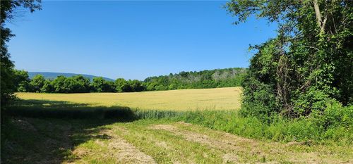 0 Town Line Rd, Rushville, NY, 14544 | Card Image