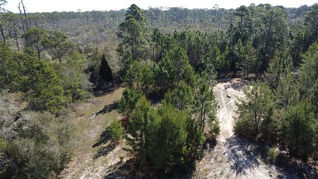 20-07S-04W-4212-0044-0080 Avenue J N, Home with 0 bedrooms, 0 bathrooms and null parking in CARRABELLE FL | Image 9