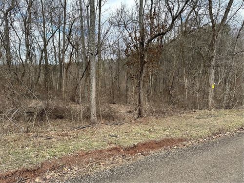0 Fisher Ridge Rd, Tract 6, Fleming, OH, 45729 | Card Image